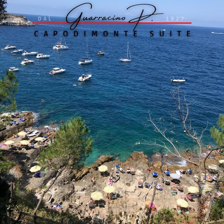 Guarracino P. Capodimonte Appartement *